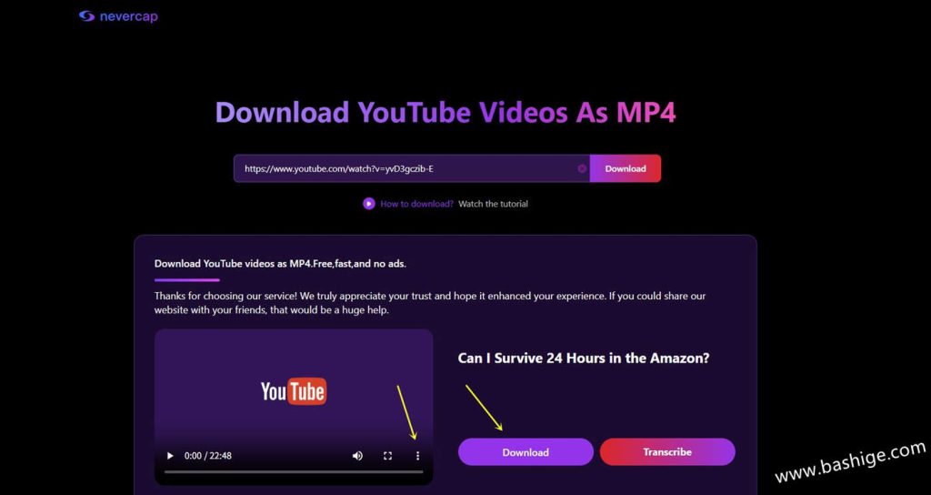 Youtube视频下载工具网站,在线免安装免费